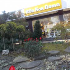 Просто Сочи. Продолжение