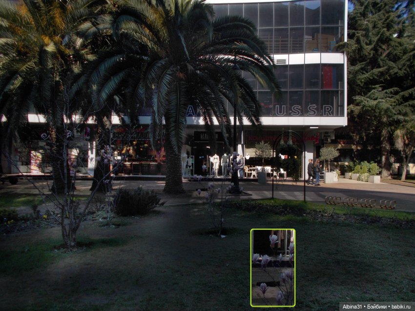 Просто Сочи. Продолжение — Туризм и путешествия: фотоотчеты из поездок (фото 9)