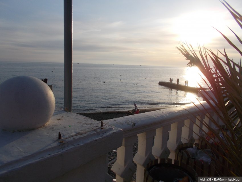 Просто Сочи. Продолжение — Туризм и путешествия: фотоотчеты из поездок