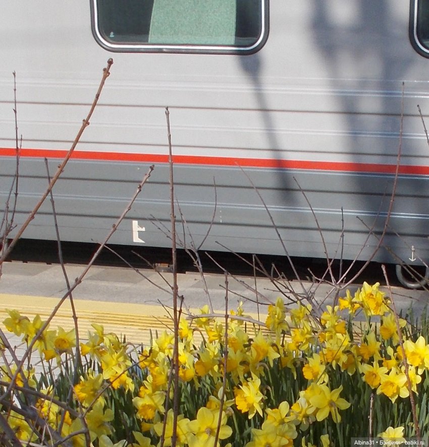 Просто Сочи. Продолжение — Туризм и путешествия: фотоотчеты из поездок