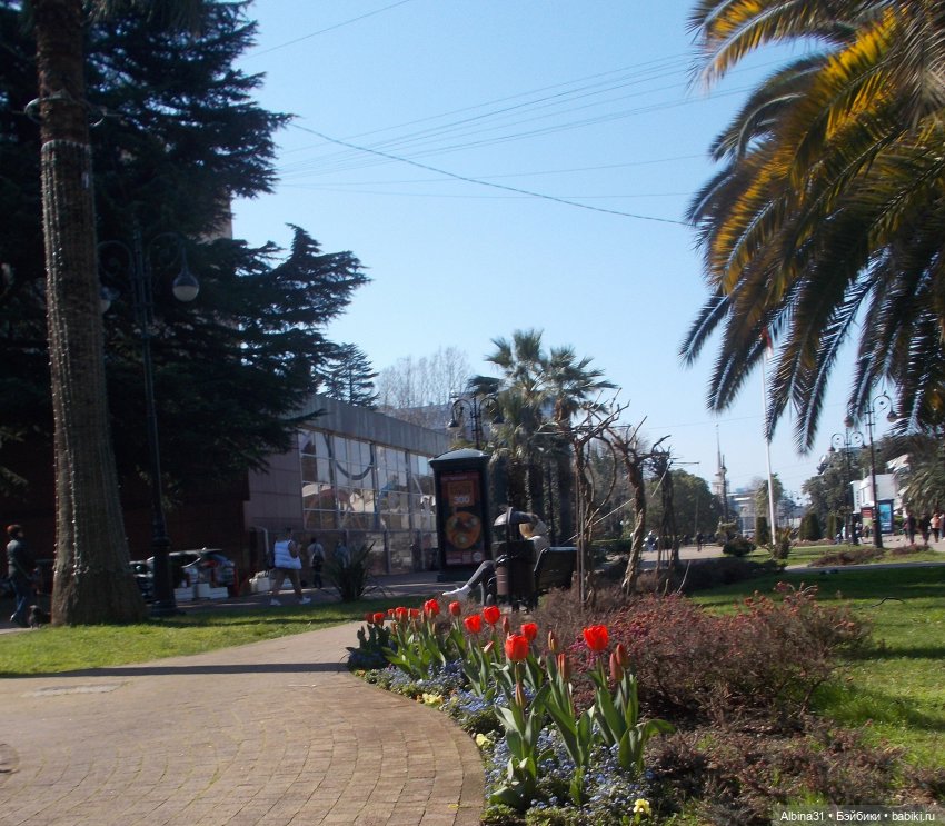 Просто Сочи. Продолжение — Туризм и путешествия: фотоотчеты из поездок (фото 10)