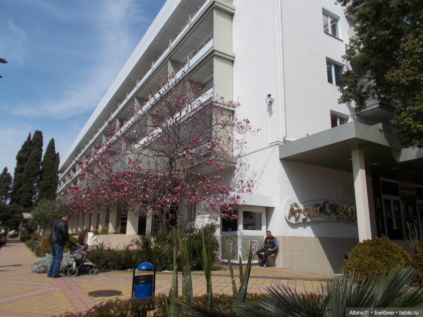 Просто Сочи. Продолжение — Туризм и путешествия: фотоотчеты из поездок