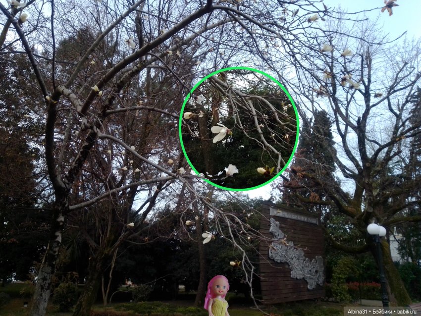 Просто Сочи. Продолжение — Туризм и путешествия: фотоотчеты из поездок