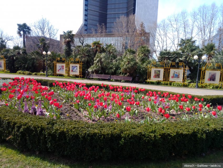 Просто Сочи — Туризм и путешествия: фотоотчеты из поездок (фото 2)