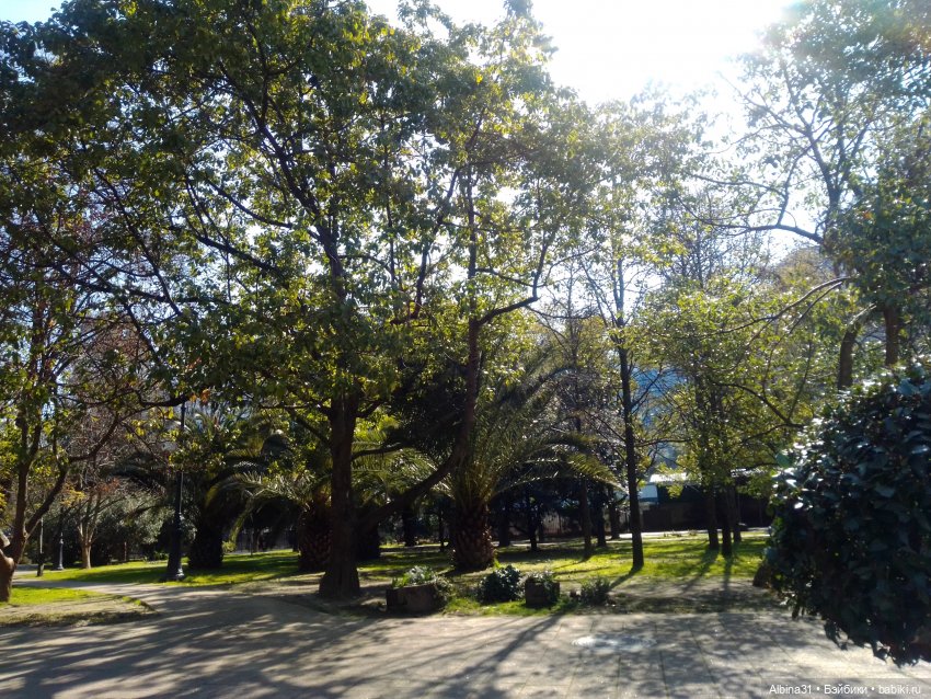 Просто Сочи — Туризм и путешествия: фотоотчеты из поездок