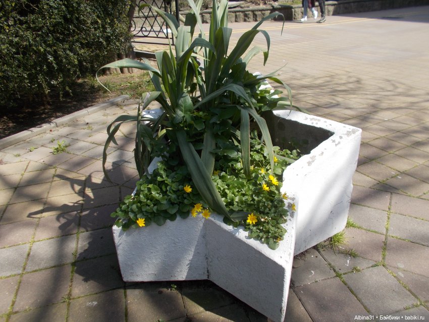 Просто Сочи — Туризм и путешествия: фотоотчеты из поездок