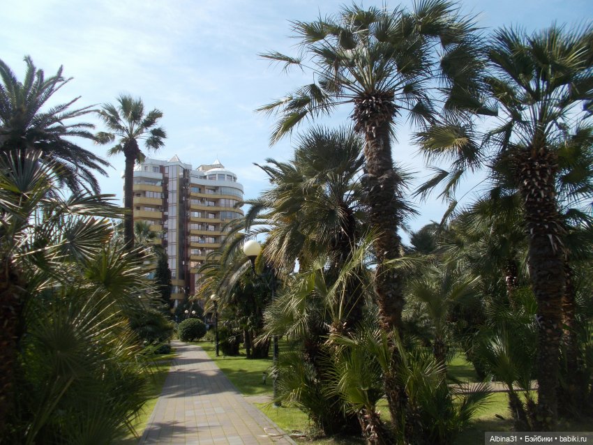 Просто Сочи — Туризм и путешествия: фотоотчеты из поездок