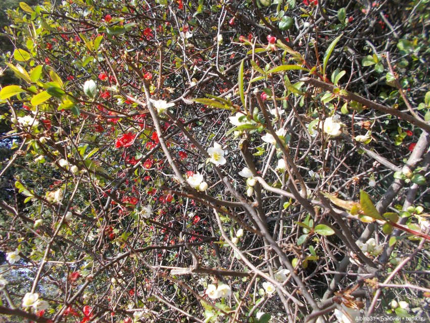 Просто Сочи — Туризм и путешествия: фотоотчеты из поездок