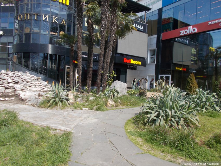 Просто Сочи — Туризм и путешествия: фотоотчеты из поездок