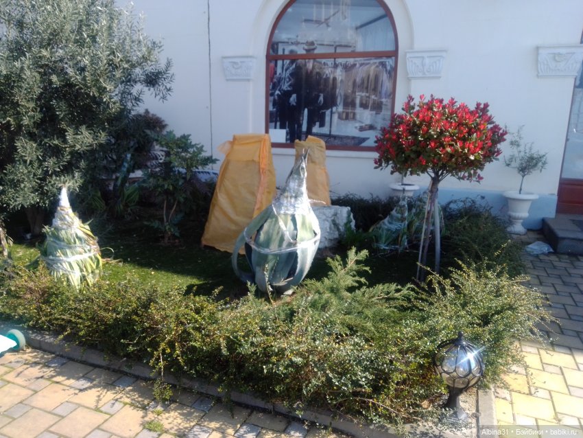 Просто Сочи — Туризм и путешествия: фотоотчеты из поездок