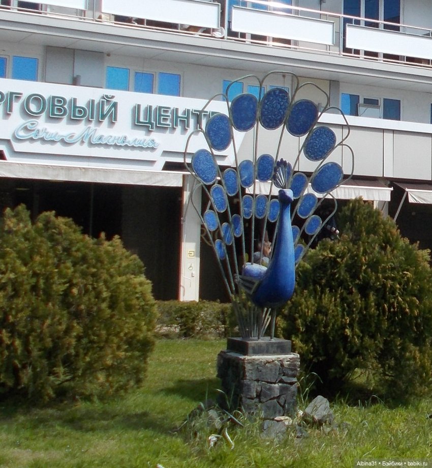 Просто Сочи — Туризм и путешествия: фотоотчеты из поездок