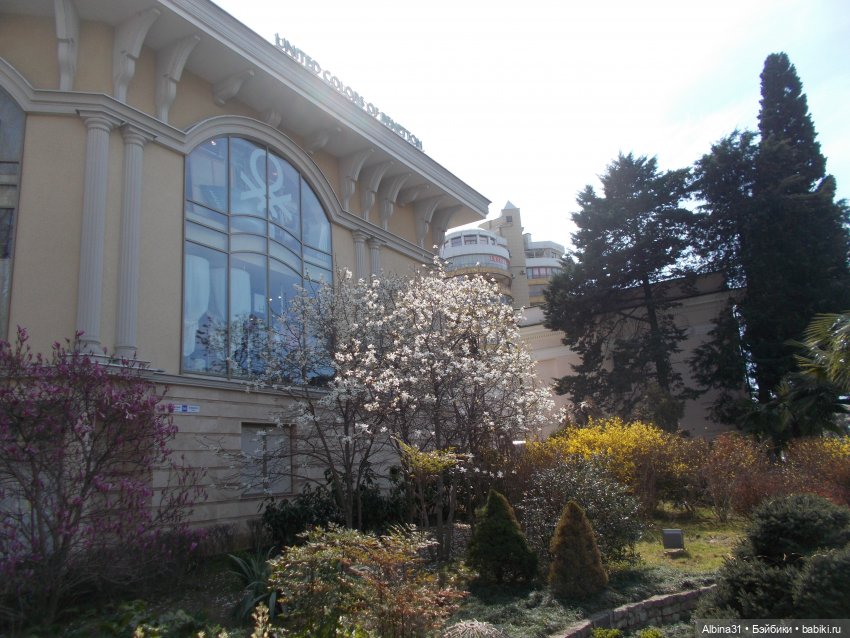 Просто Сочи — Туризм и путешествия: фотоотчеты из поездок