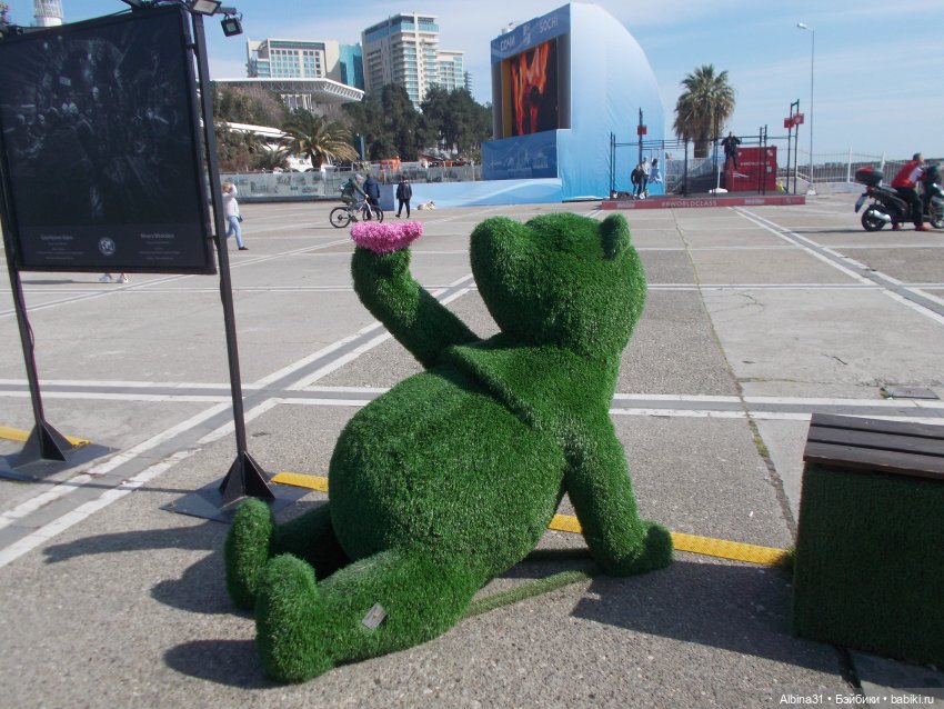 Просто Сочи — Туризм и путешествия: фотоотчеты из поездок