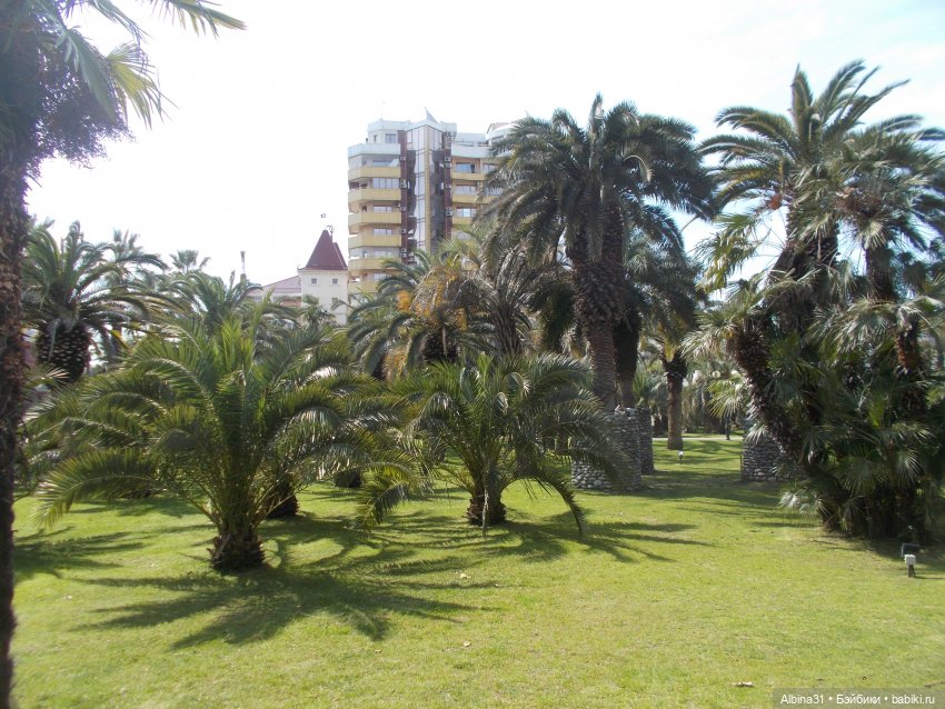 Просто Сочи — Туризм и путешествия: фотоотчеты из поездок