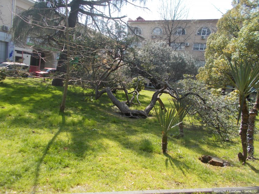 Просто Сочи — Туризм и путешествия: фотоотчеты из поездок