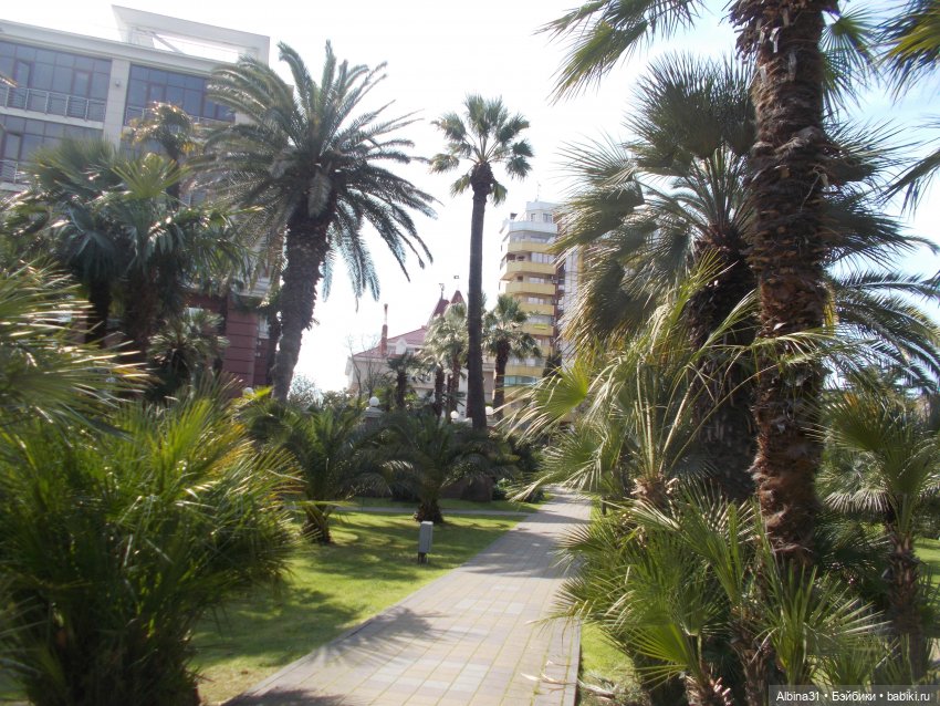 Просто Сочи — Туризм и путешествия: фотоотчеты из поездок