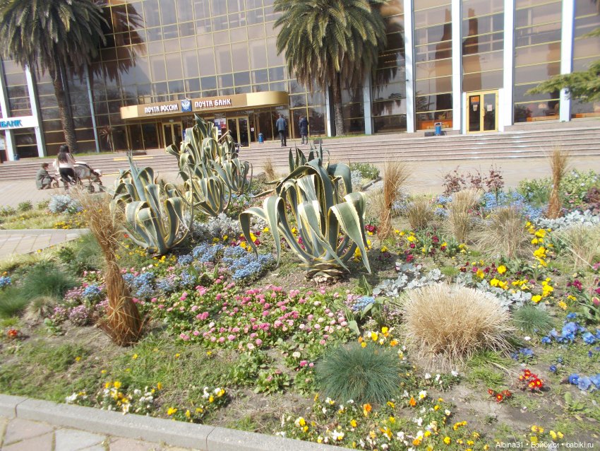 Просто Сочи — Туризм и путешествия: фотоотчеты из поездок