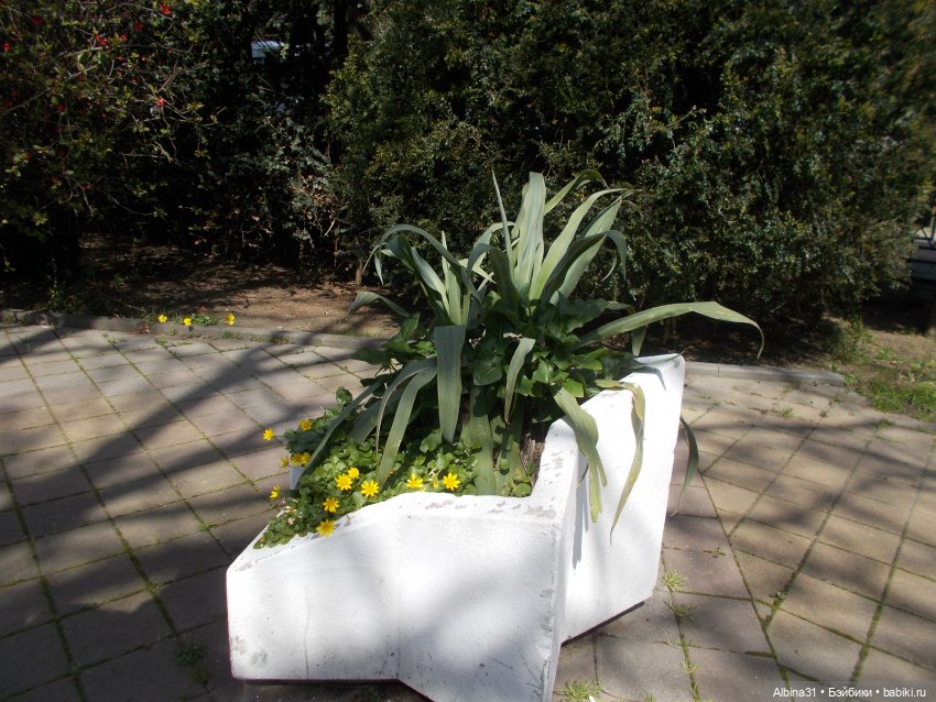 Просто Сочи — Туризм и путешествия: фотоотчеты из поездок