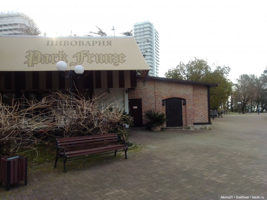 Просто Сочи. Окончание — Туризм и путешествия: фотоотчеты из поездок (фото 10)