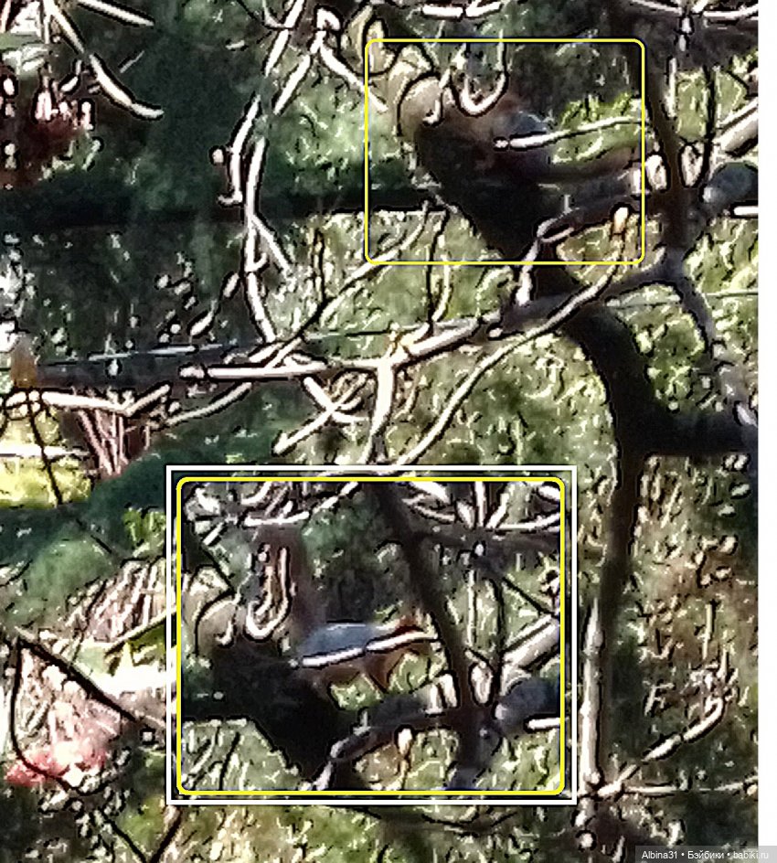 Просто Сочи — Туризм и путешествия: фотоотчеты из поездок