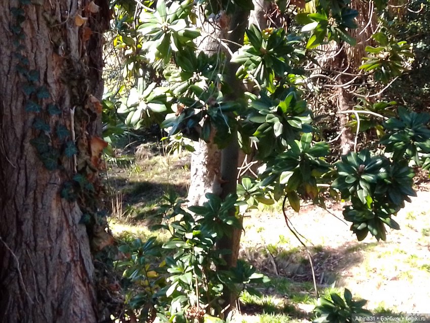 Просто Сочи — Туризм и путешествия: фотоотчеты из поездок