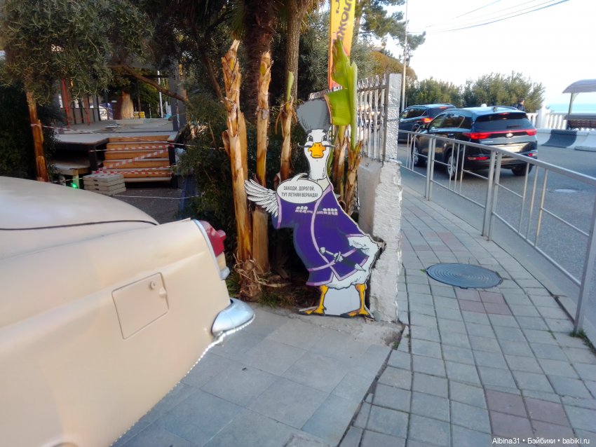 Просто Сочи — Туризм и путешествия: фотоотчеты из поездок