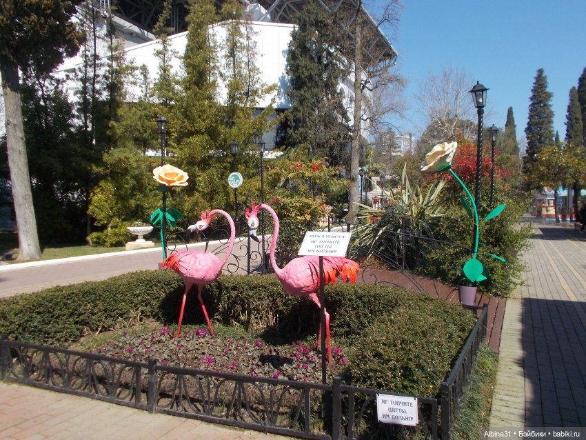 Просто Сочи. Окончание — Туризм и путешествия: фотоотчеты из поездок