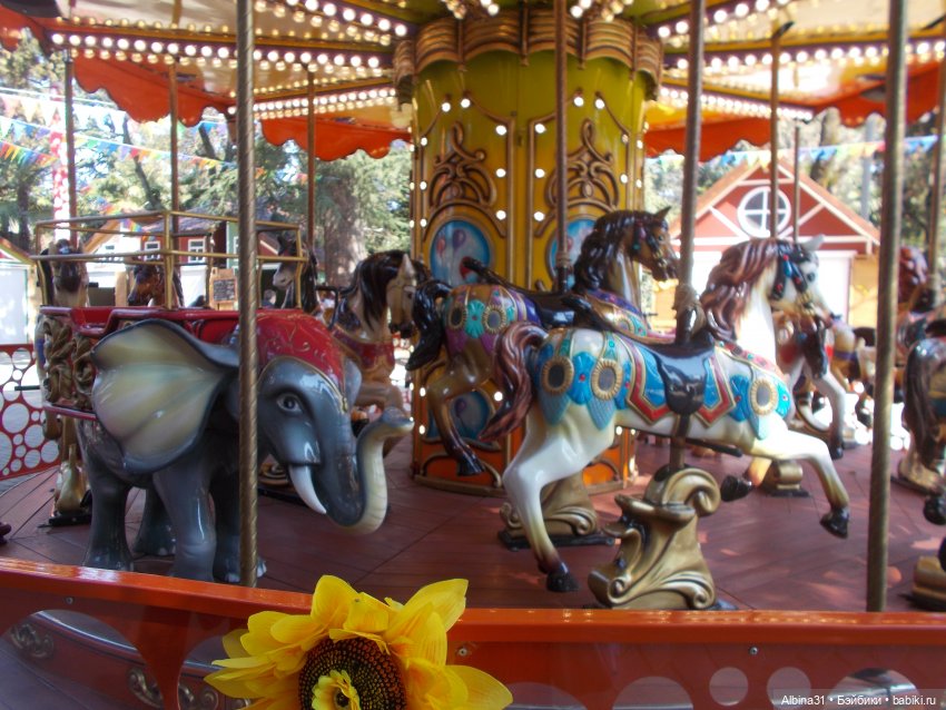 Просто Сочи. Окончание — Туризм и путешествия: фотоотчеты из поездок