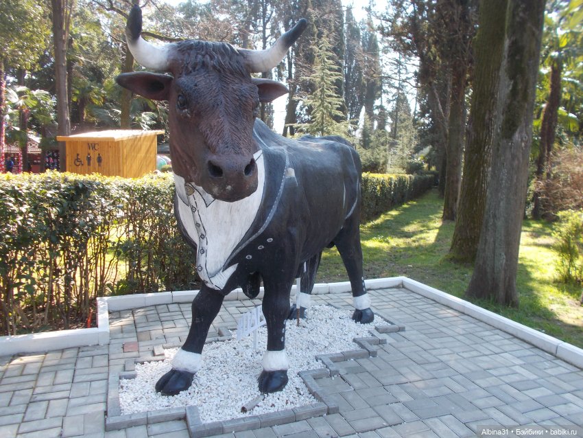 Просто Сочи. Окончание — Туризм и путешествия: фотоотчеты из поездок