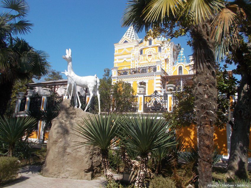 Просто Сочи. Окончание — Туризм и путешествия: фотоотчеты из поездок