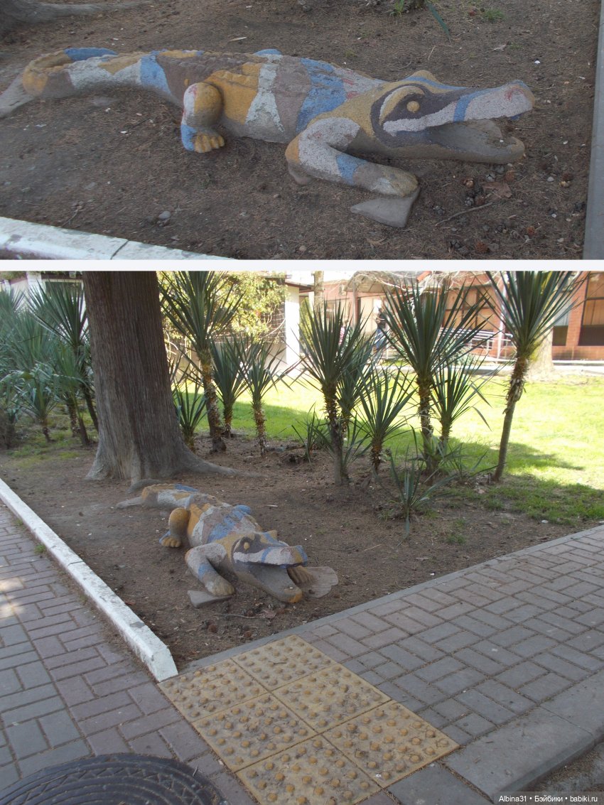 Просто Сочи. Окончание — Туризм и путешествия: фотоотчеты из поездок (фото 3)