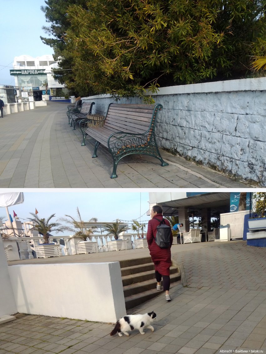 Просто Сочи. Окончание — Туризм и путешествия: фотоотчеты из поездок (фото 4)