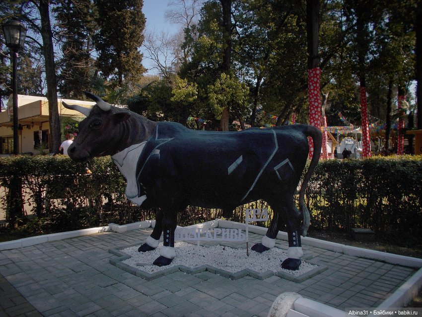 Просто Сочи. Окончание — Туризм и путешествия: фотоотчеты из поездок