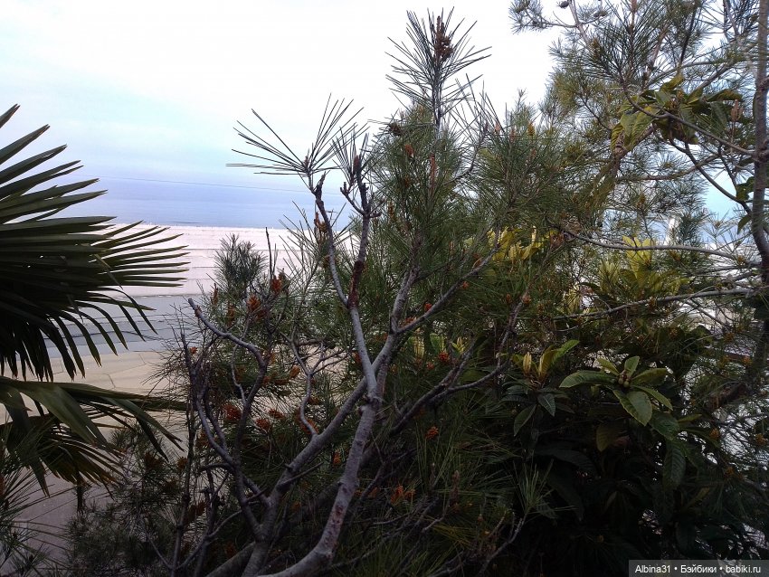 Просто Сочи. Окончание — Туризм и путешествия: фотоотчеты из поездок