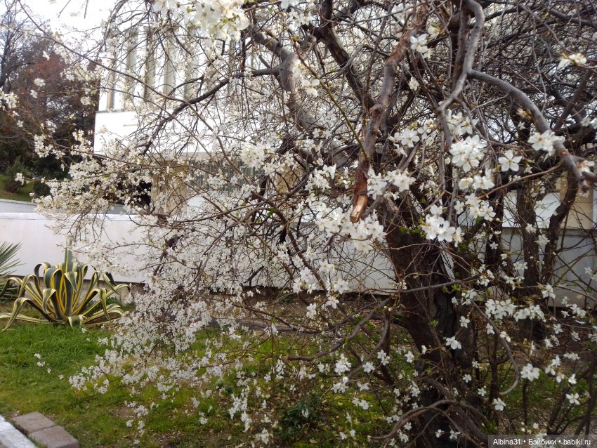 Просто Сочи. Окончание — Туризм и путешествия: фотоотчеты из поездок