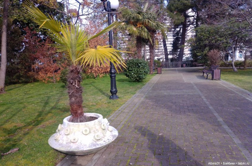 Просто Сочи. Окончание — Туризм и путешествия: фотоотчеты из поездок