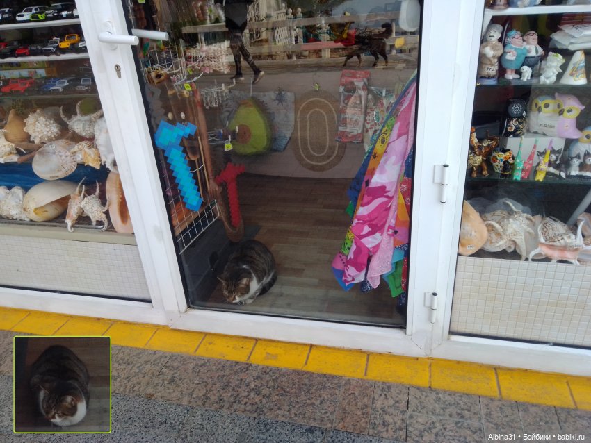 Просто Сочи. Окончание — Туризм и путешествия: фотоотчеты из поездок