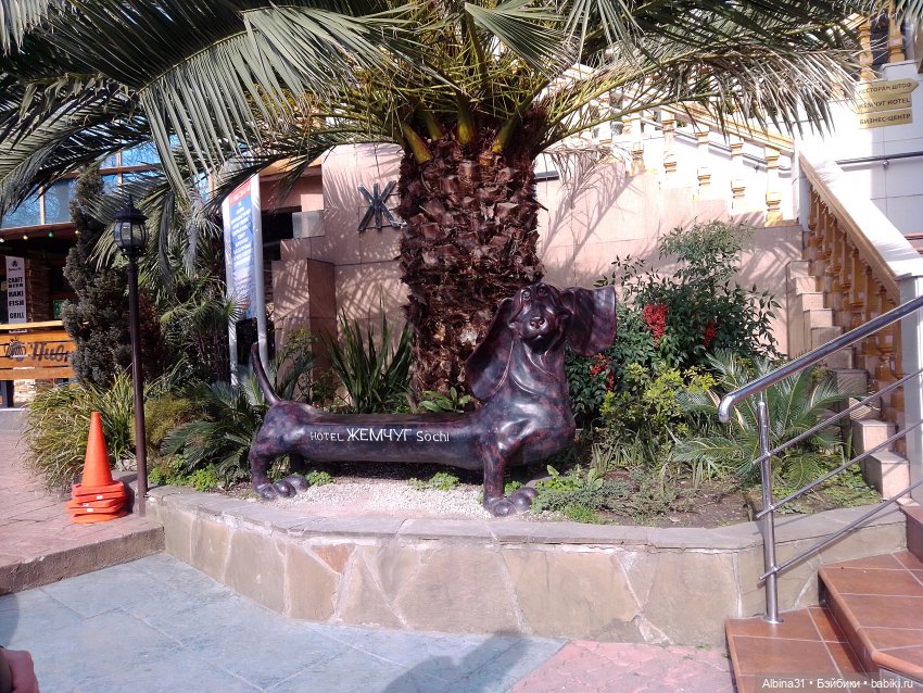 Просто Сочи. Окончание — Туризм и путешествия: фотоотчеты из поездок