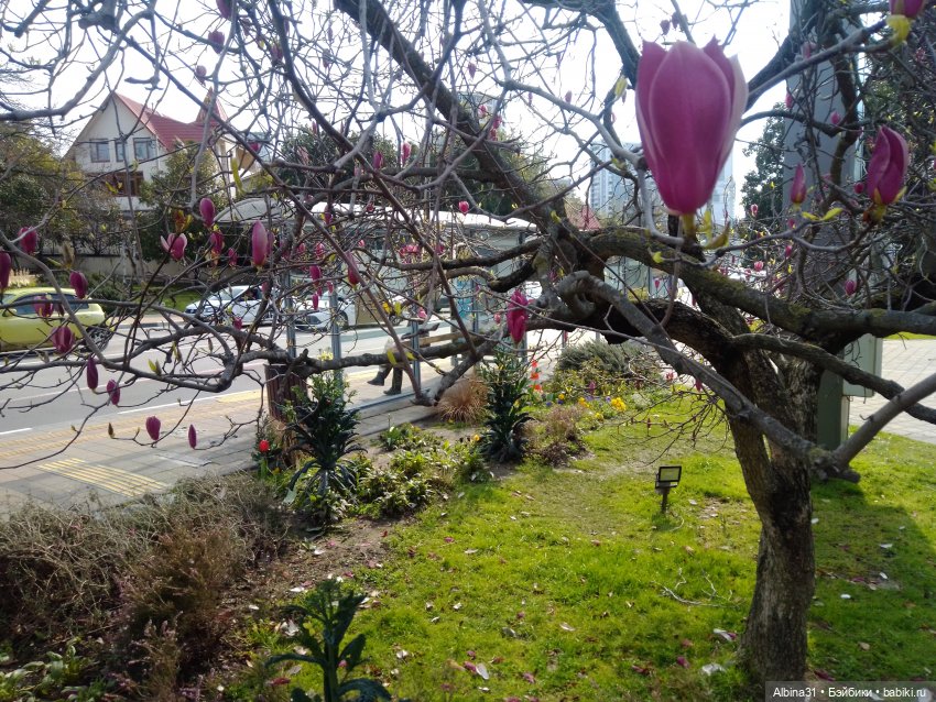 Просто Сочи. Окончание — Туризм и путешествия: фотоотчеты из поездок