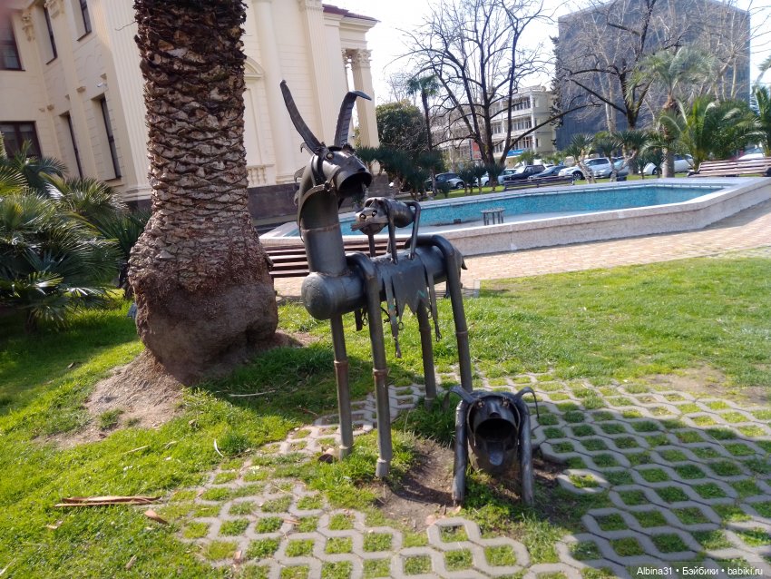 Просто Сочи. Окончание — Туризм и путешествия: фотоотчеты из поездок