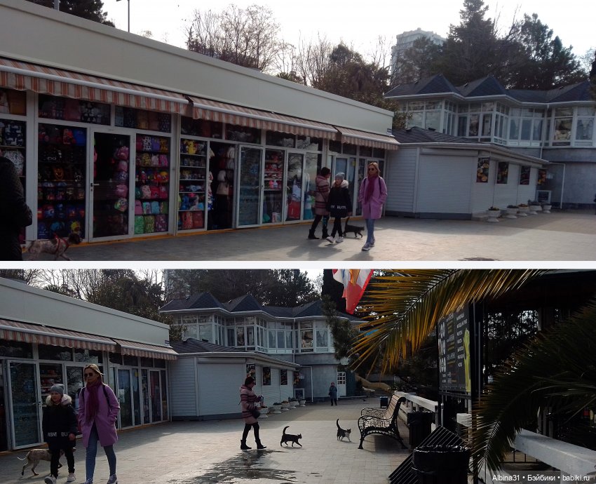 Просто Сочи. Окончание — Туризм и путешествия: фотоотчеты из поездок