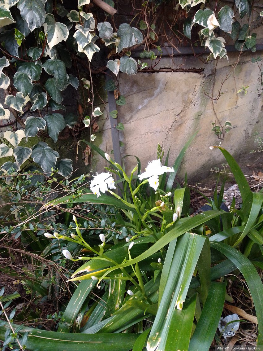 Просто Сочи. Окончание — Туризм и путешествия: фотоотчеты из поездок