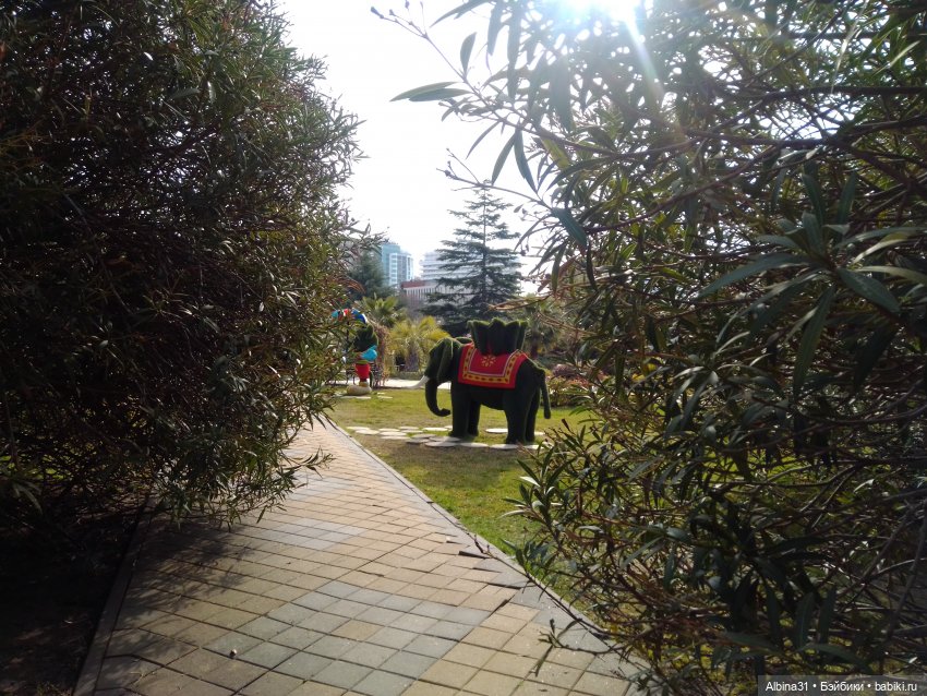 Просто Сочи. Окончание — Туризм и путешествия: фотоотчеты из поездок