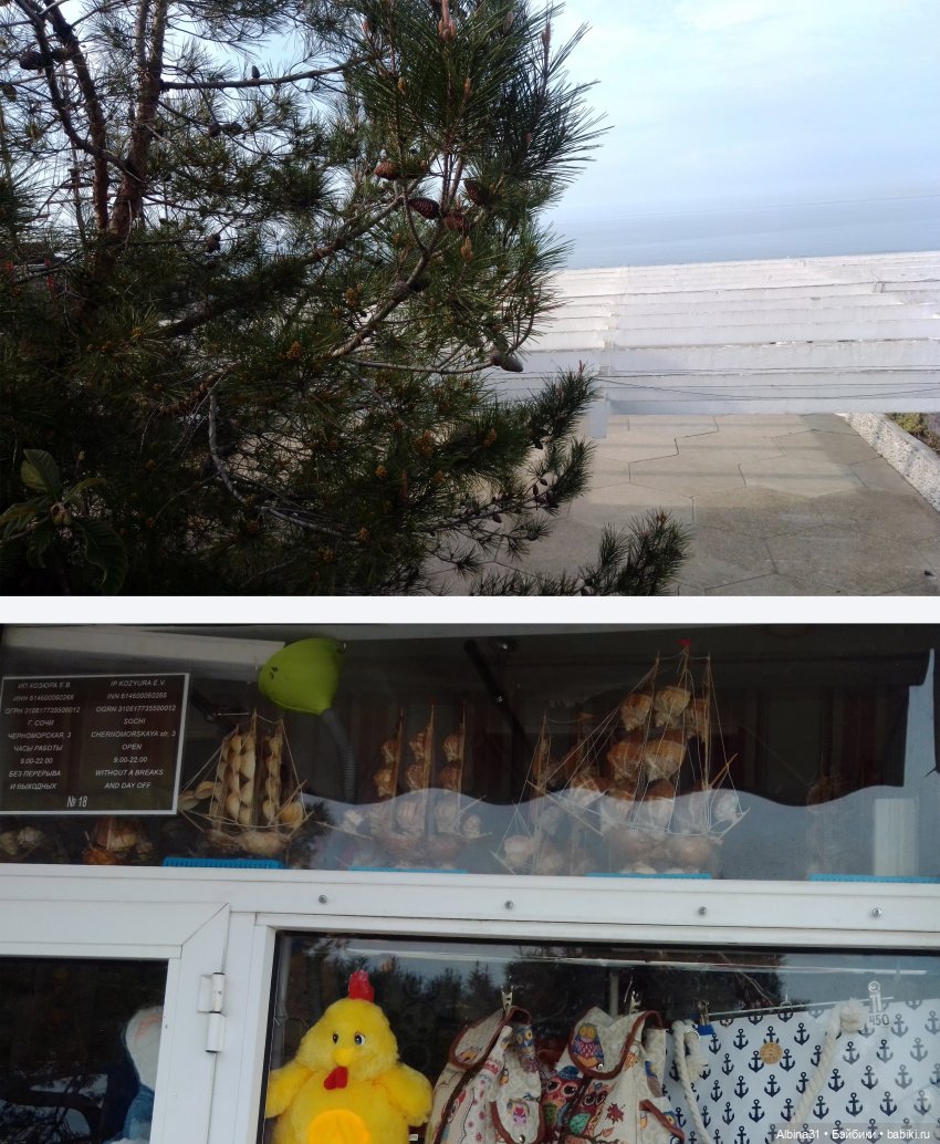 Просто Сочи. Окончание — Туризм и путешествия: фотоотчеты из поездок