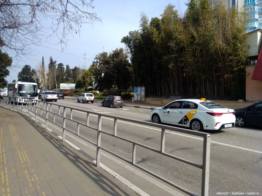 Просто Сочи. Окончание — Туризм и путешествия: фотоотчеты из поездок