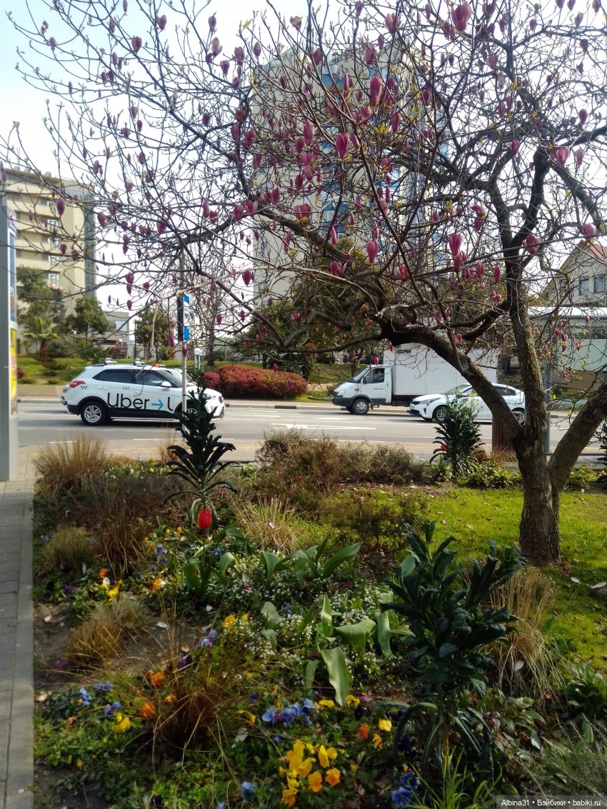 Просто Сочи. Окончание — Туризм и путешествия: фотоотчеты из поездок