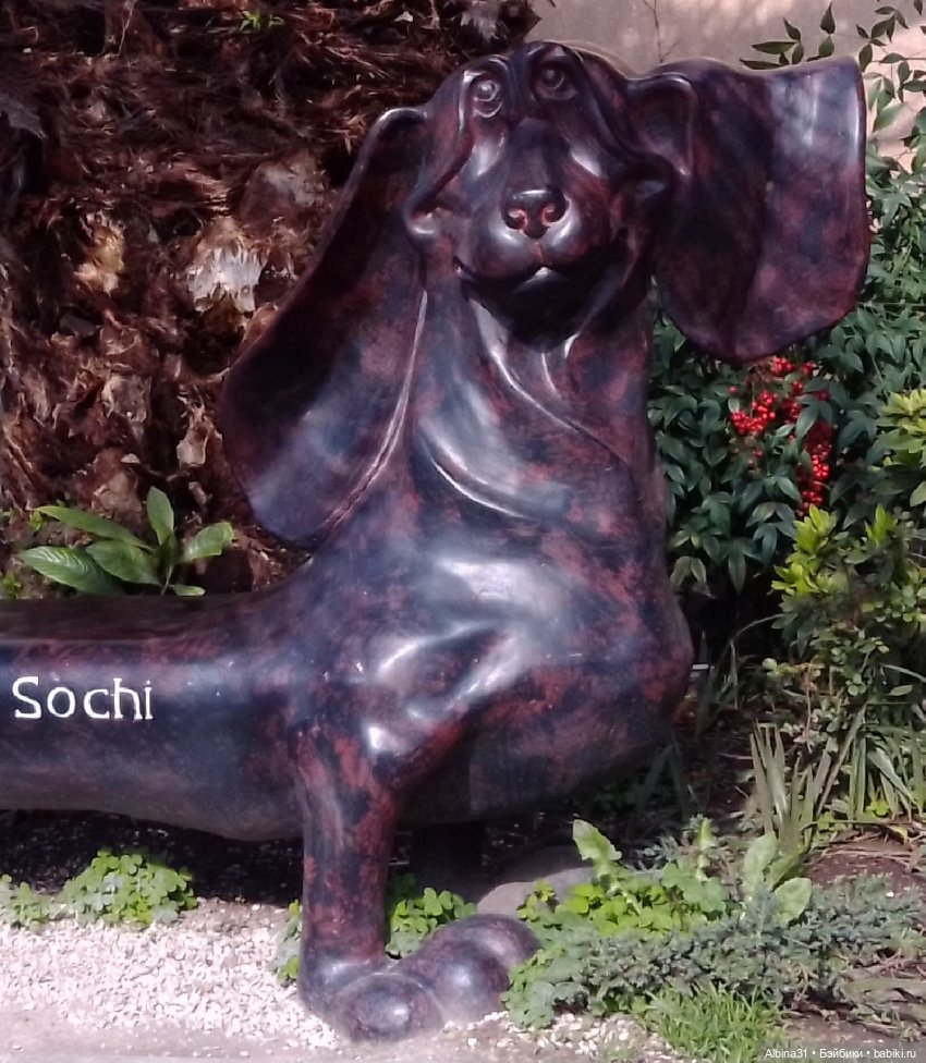 Просто Сочи. Окончание — Туризм и путешествия: фотоотчеты из поездок