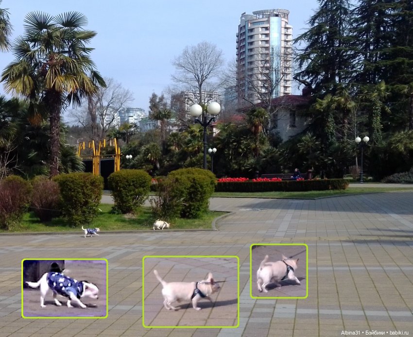 Просто Сочи. Окончание — Туризм и путешествия: фотоотчеты из поездок