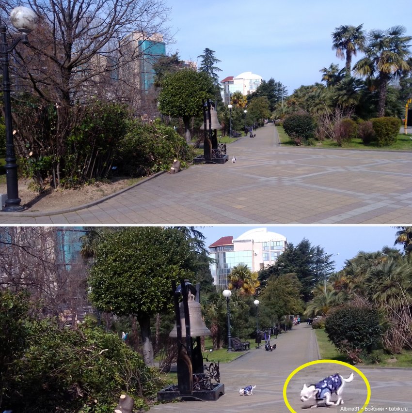 Просто Сочи. Окончание — Туризм и путешествия: фотоотчеты из поездок