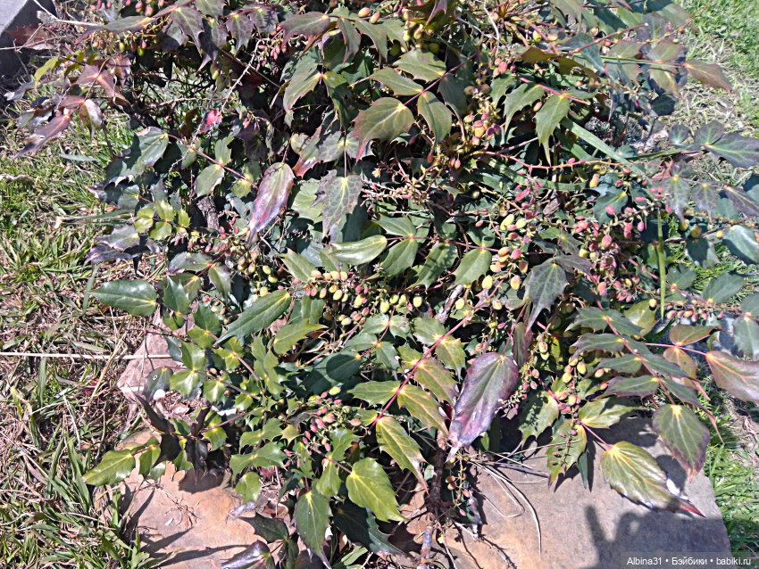 Просто Сочи. Окончание — Туризм и путешествия: фотоотчеты из поездок